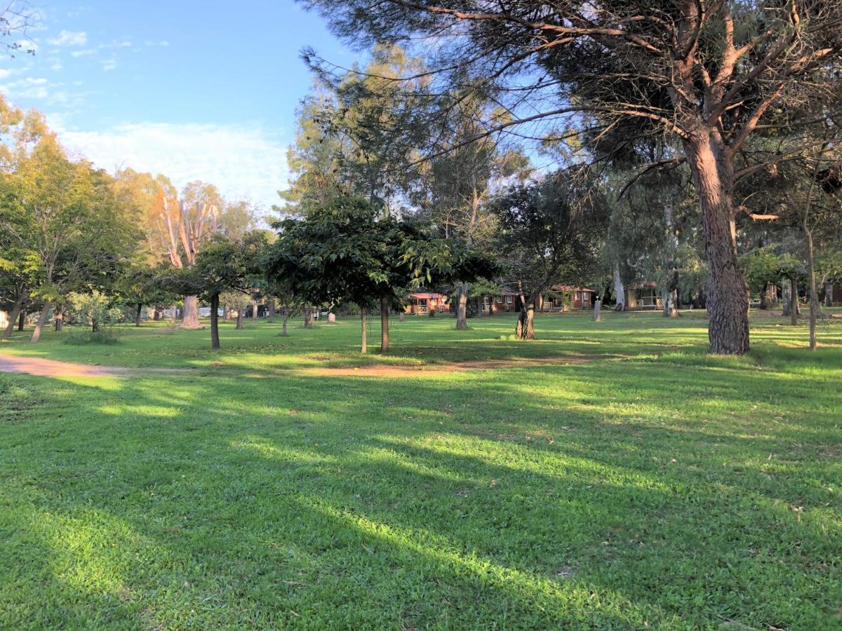 Camping L'Oso Porto-Vecchio  Eksteriør billede