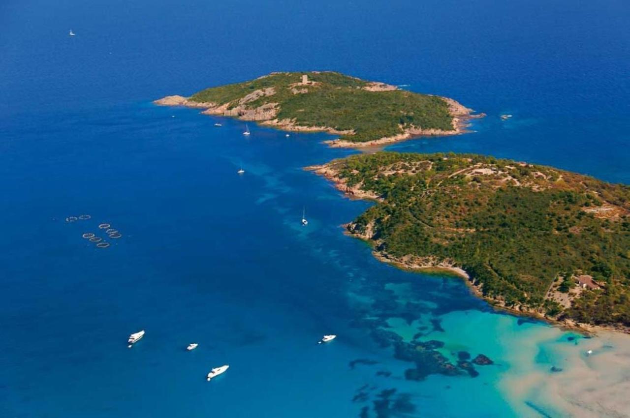 Camping L'Oso Porto-Vecchio  Eksteriør billede