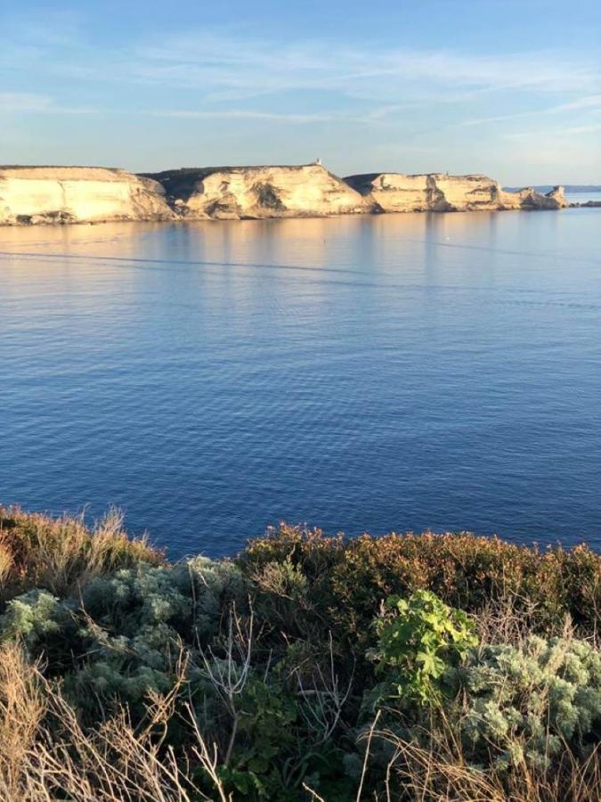 Camping L'Oso Porto-Vecchio  Eksteriør billede