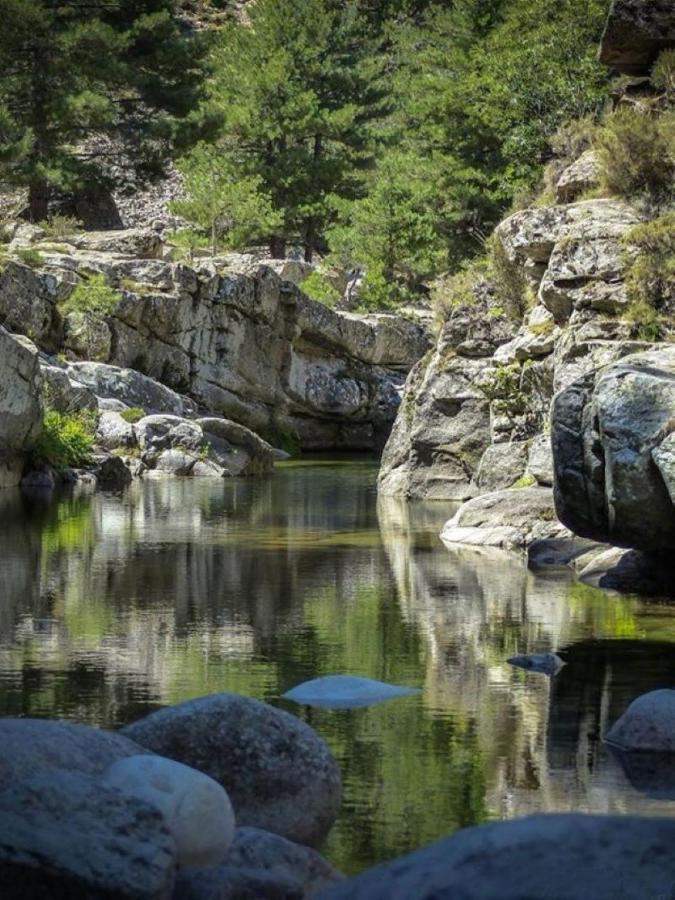 Camping L'Oso Porto-Vecchio  Eksteriør billede