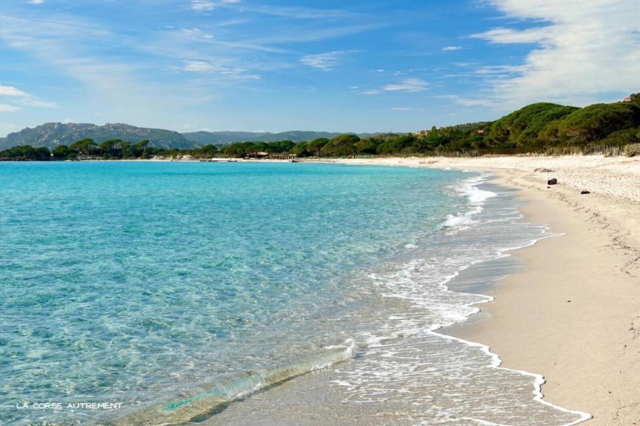 Camping L'Oso Porto-Vecchio  Eksteriør billede
