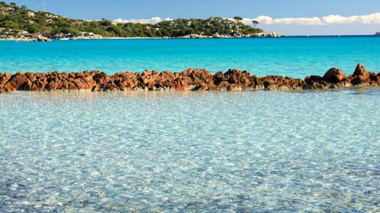 Camping L'Oso Porto-Vecchio  Eksteriør billede