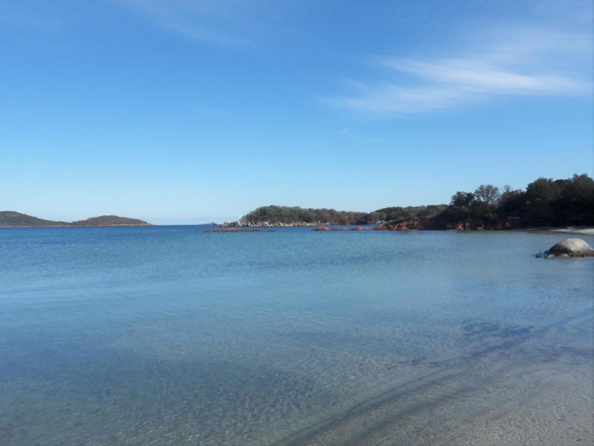 Camping L'Oso Porto-Vecchio  Eksteriør billede