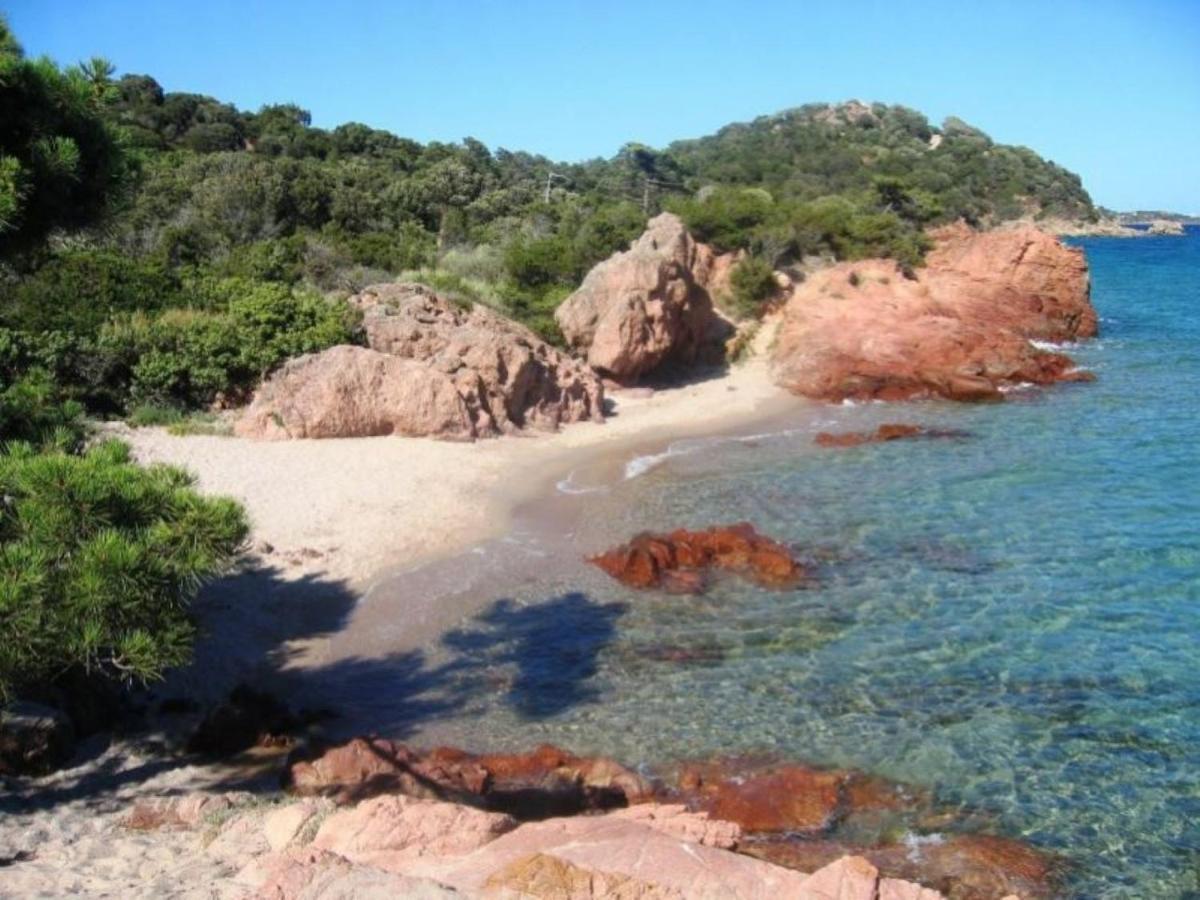 Camping L'Oso Porto-Vecchio  Eksteriør billede