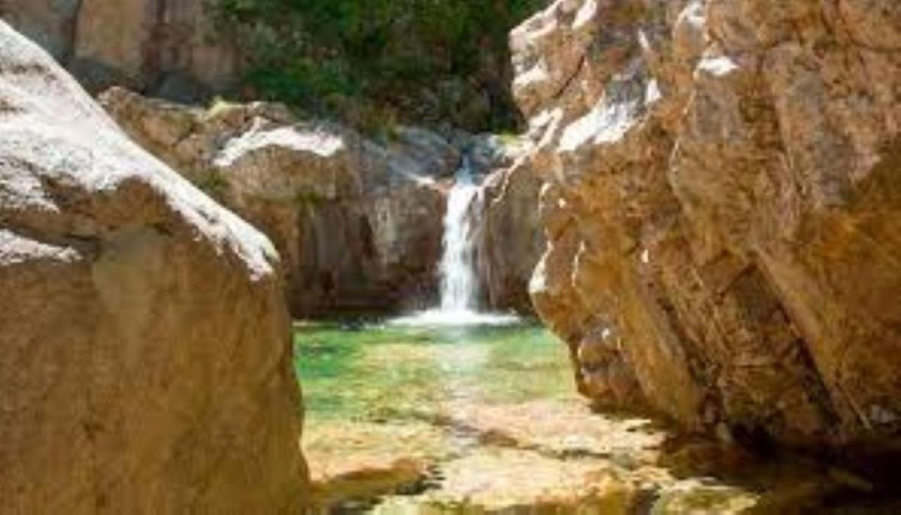 Camping L'Oso Porto-Vecchio  Eksteriør billede